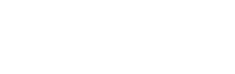 Bitgo Wallet